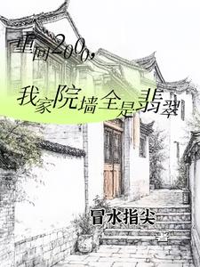 重回2000我靠鉴宝发家致富